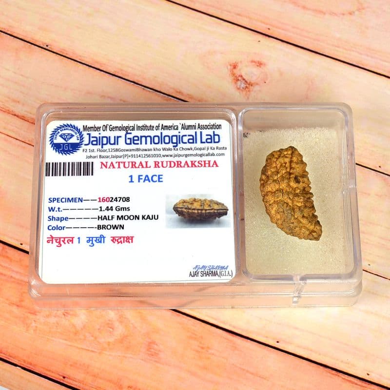 1 Mukhi Nepali Rudraksha - Ek Mukhi 4