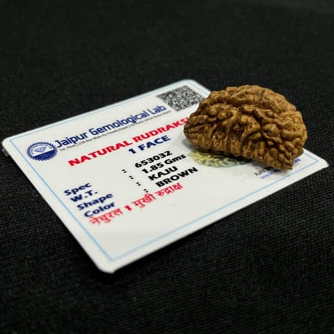 1 Mukhi Nepali Rudraksha - Ek Mukhi 2