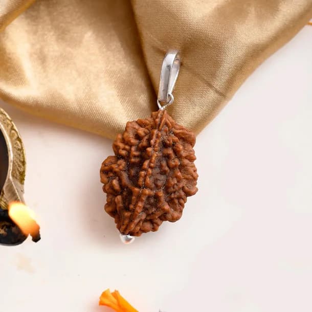 2 Mukhi Nepali Rudraksha - Do Mukhi 1