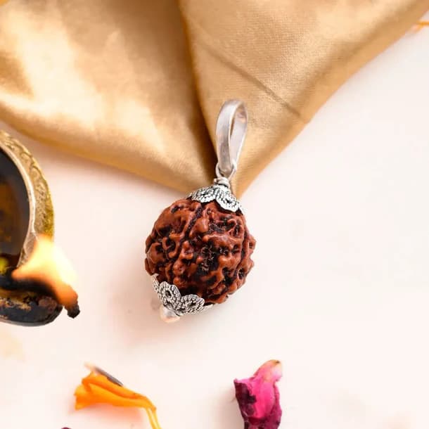 5 Mukhi Nepali Rudraksha - Paanch Mukhi