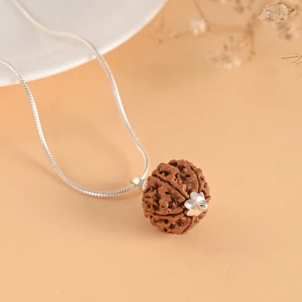 6 Mukhi Nepali Rudraksha - Chhah Mukhi