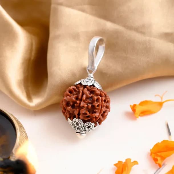 7 Mukhi Nepali Rudraksha - Saat Mukhi 1
