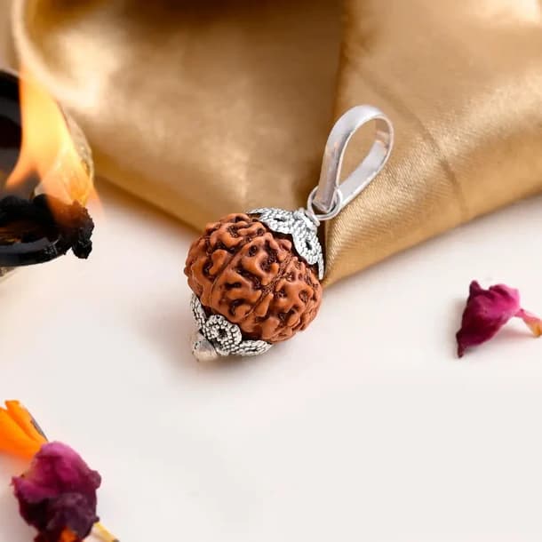9 Mukhi Nepali Rudraksha - Nau Mukhi 1