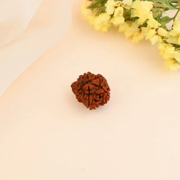 Ganesh Rudraksha thumbnail 2