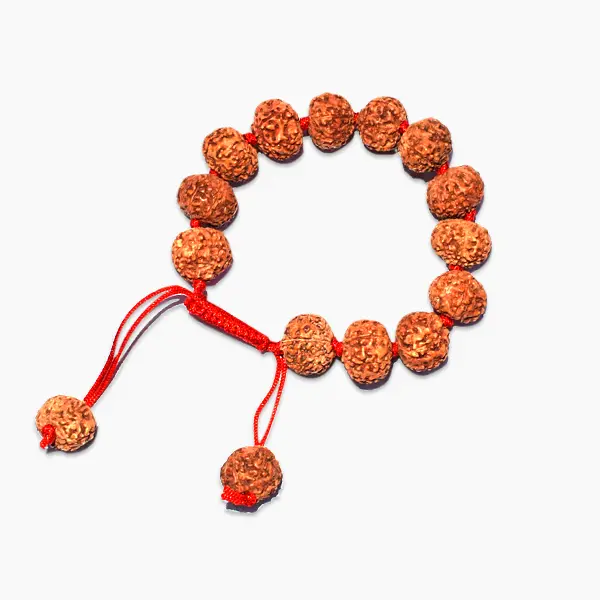 7 Mukhi Rudraksha Bracelet 1
