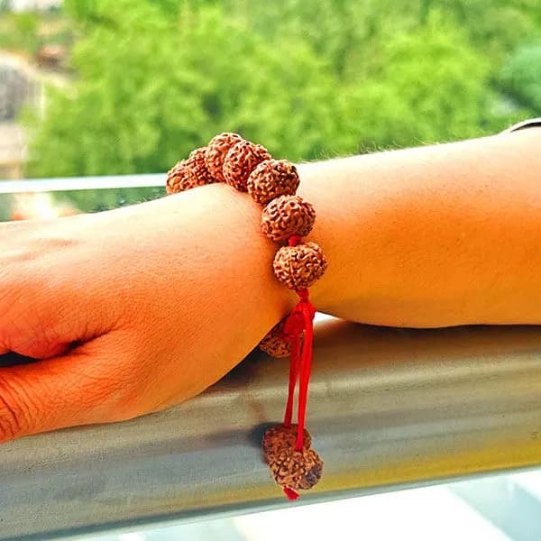 7 Mukhi Rudraksha Bracelet 2