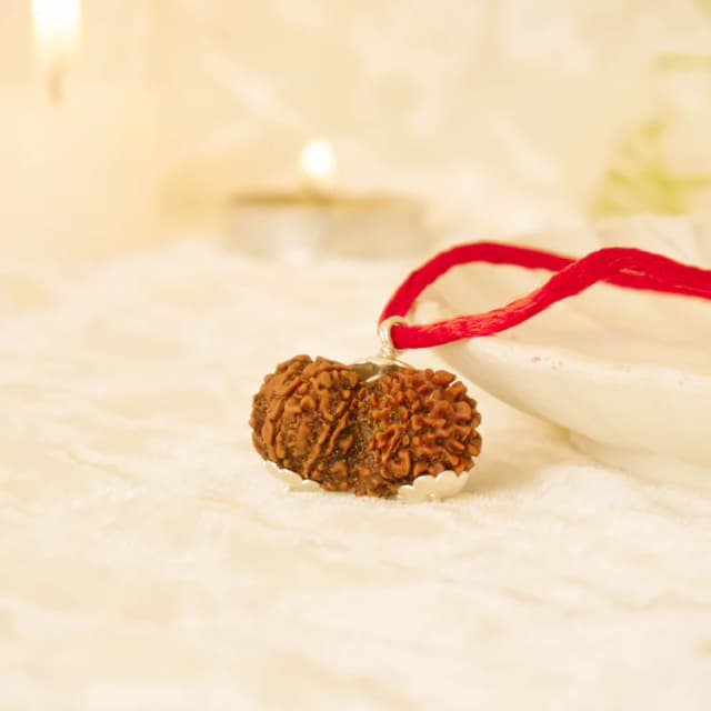 Gauri Shankar Rudraksha