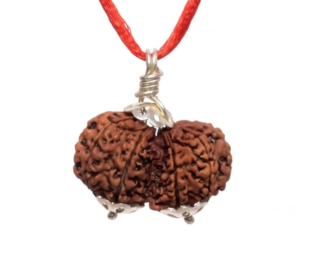 Gauri Shankar Rudraksha 3